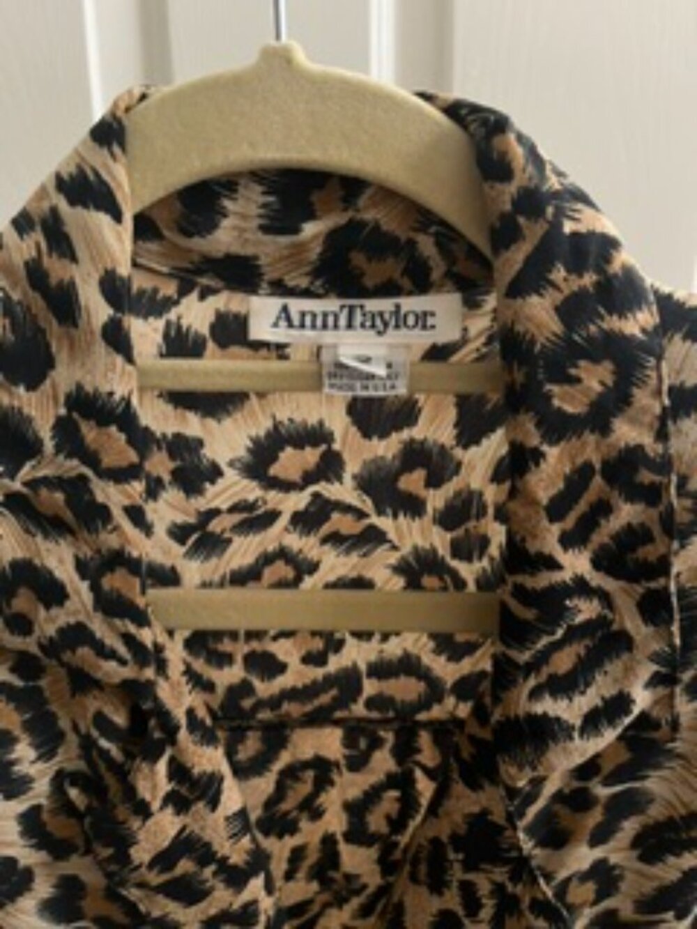 Leopard! - Picture 4 of 5